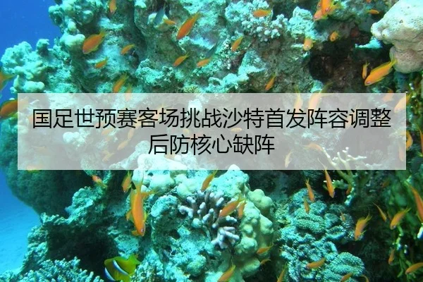 guo-zu-shi-yu-sai-ke-chang-tiao-zhan-sha-te-shou-fa-zhen-rong-tiao-zheng-hou-fang-he-xin-que-zhen-2-351.jpg