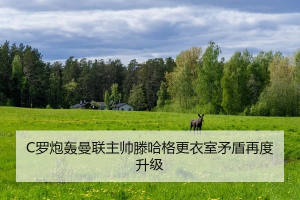 C罗炮轰曼联主帅滕哈格更衣室矛盾再度升级