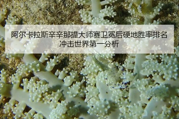 a-er-ka-la-si-xin-xin-na-ti-da-shi-sai-wei-mian-hou-ying-di-sheng-lv-pai-ming-chong-ji-shi-jie-di-yi-fen-xi-2-389.jpg